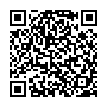 QR code for INI198