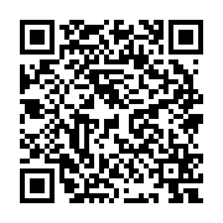 QR code for INI2653