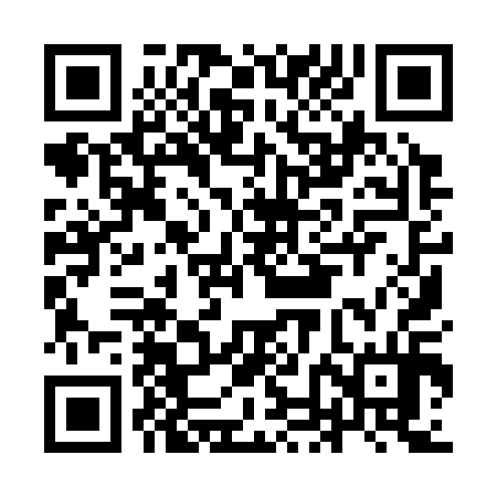 QR code for INI314