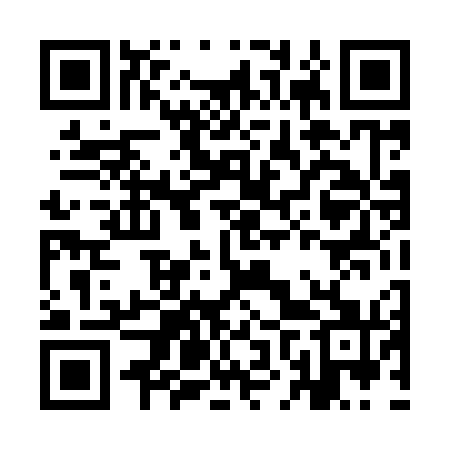 QR code for INT971