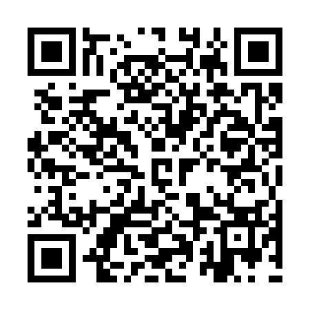QR code for IPM333
