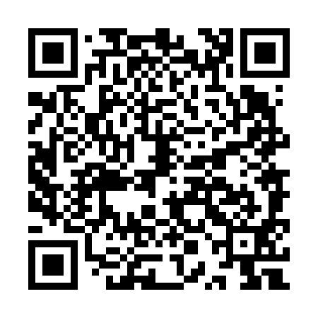 QR code for IPN691