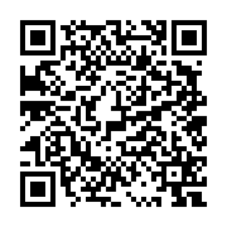 QR code for IRG4253