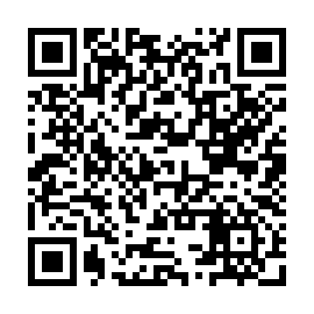 QR code for ISS397