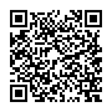QR code for IVG9653