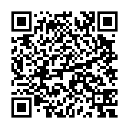 QR code for IVJ038