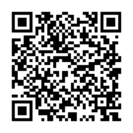QR code for IVM1993