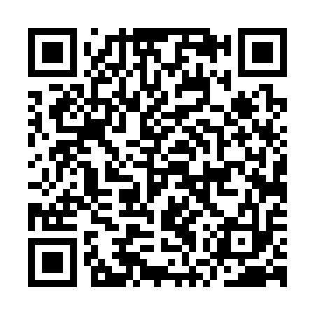 QR code for IWT313