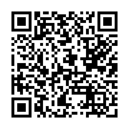 QR code for IYF313
