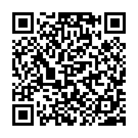 QR code for IYN095
