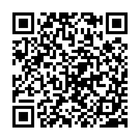 QR code for IYS541