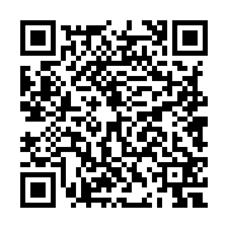 QR code for JDT9228