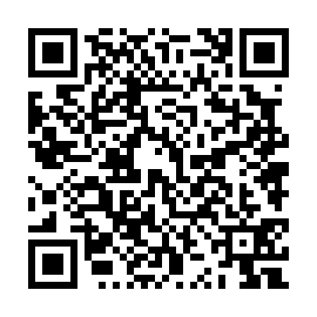 QR code for JZN0313