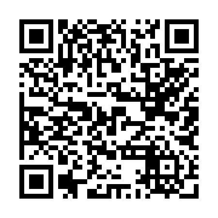 QR code for LAM294
