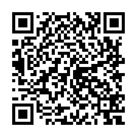 QR code for LAM919