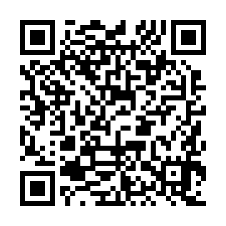 QR code for LAP295