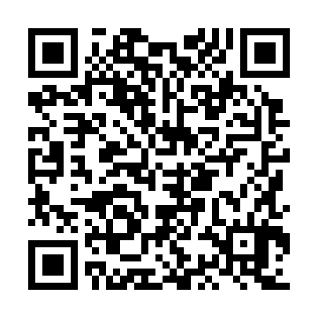QR code for LCH384