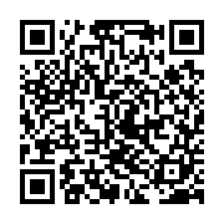 QR code for LDG741