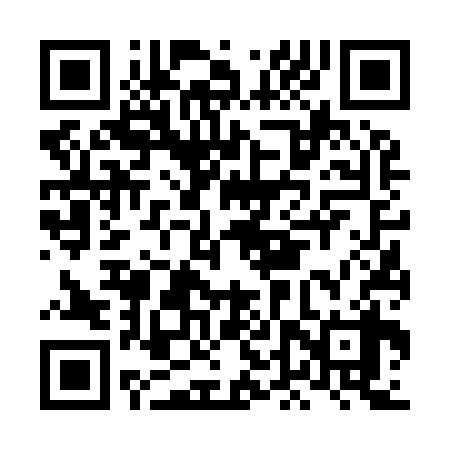 QR code for LDV938