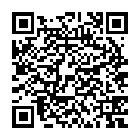 QR code for LDZ2386