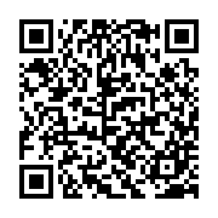 QR code for LEE387