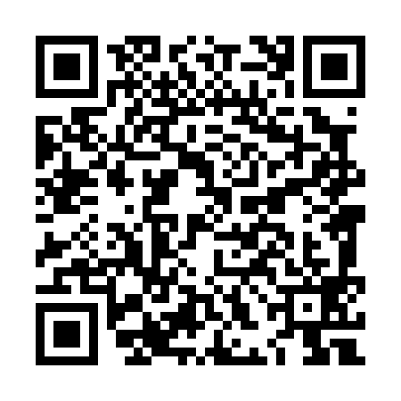 QR code for LHL0993