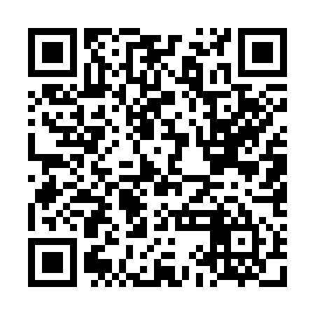 QR code for LIE355