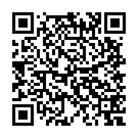 QR code for LIE558