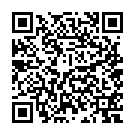 QR code for LIG1106