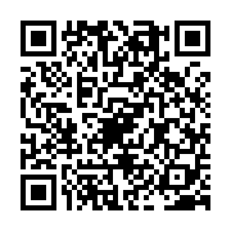 QR code for LII9594