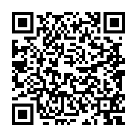 QR code for LIL0118