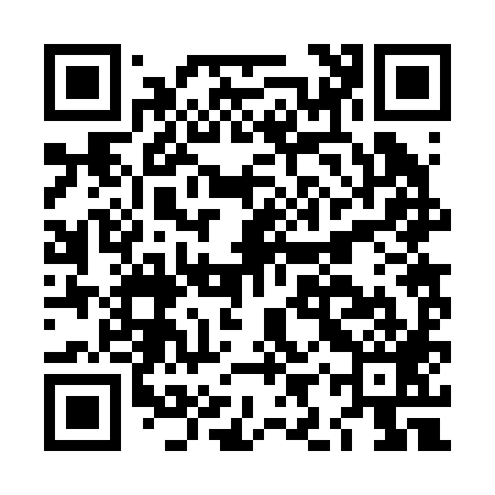 QR code for LIR289