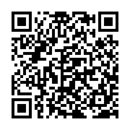 QR code for LIT294