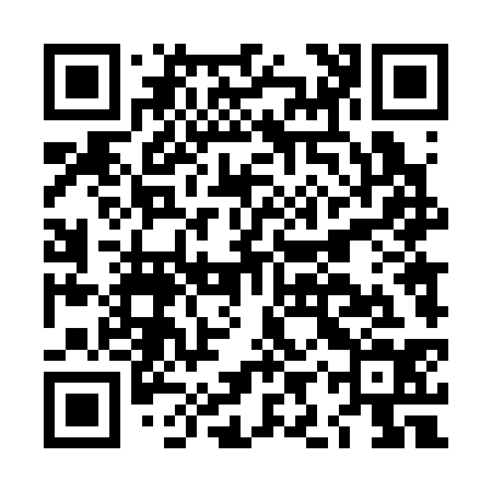 QR code for LIT334