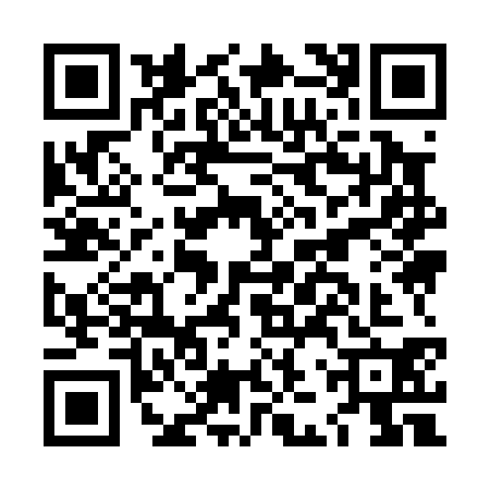 QR code for LJY0307