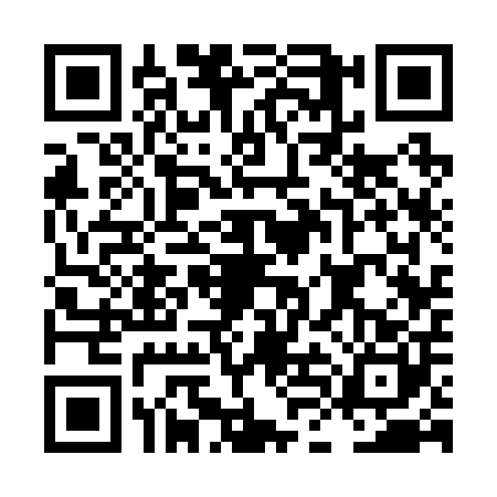 QR code for LLC2003