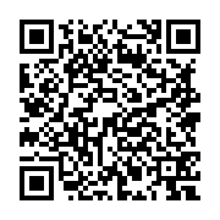 QR code for LMM8728