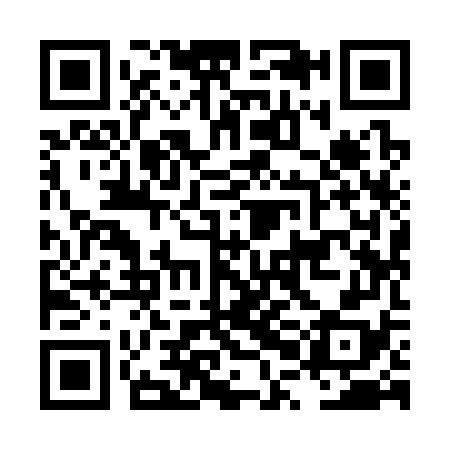 QR code for LPI378