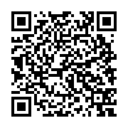 QR code for LPN334