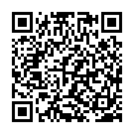 QR code for LPX333