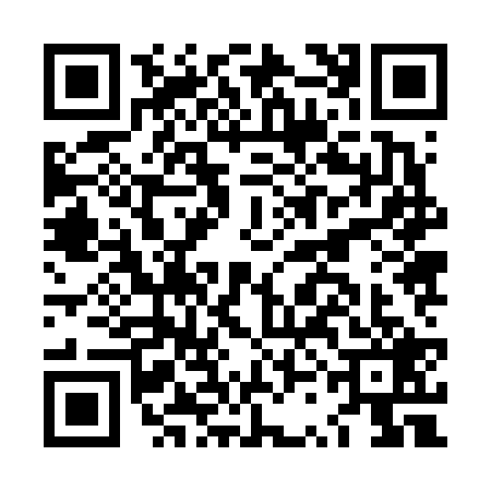 QR code for LSJ6295