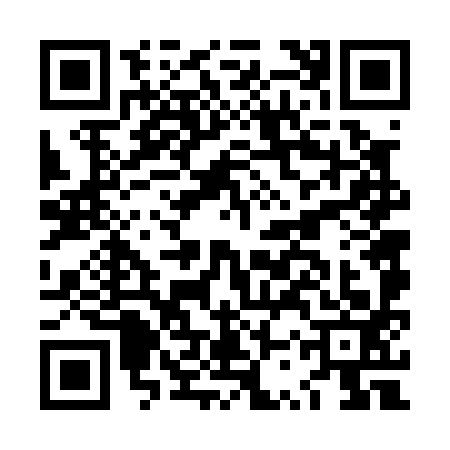QR code for LSV0939