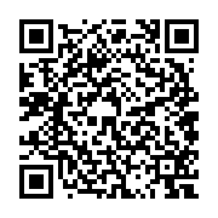 QR code for LSV6166