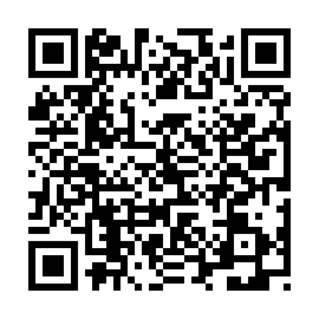QR code for LUD5311
