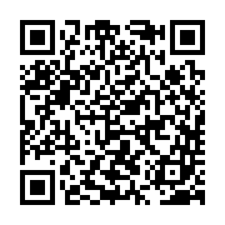 QR code for LUR343