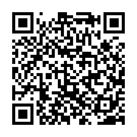 QR code for LVD911