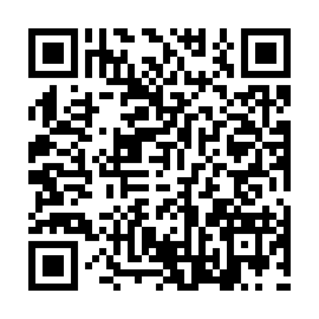 QR code for LVL3939