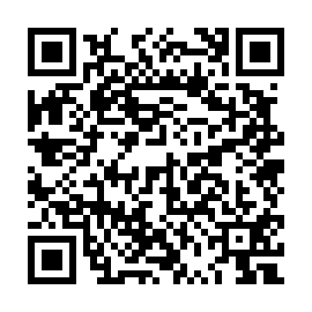 QR code for LVO4119