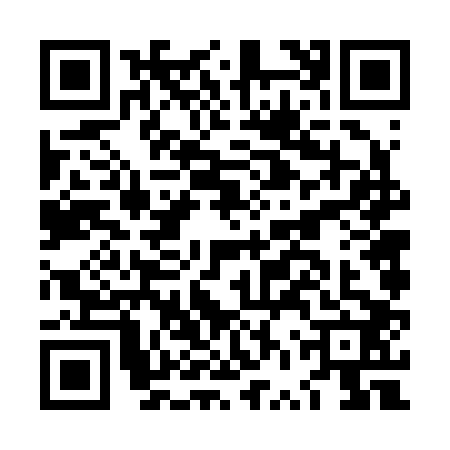 QR code for LVV2020