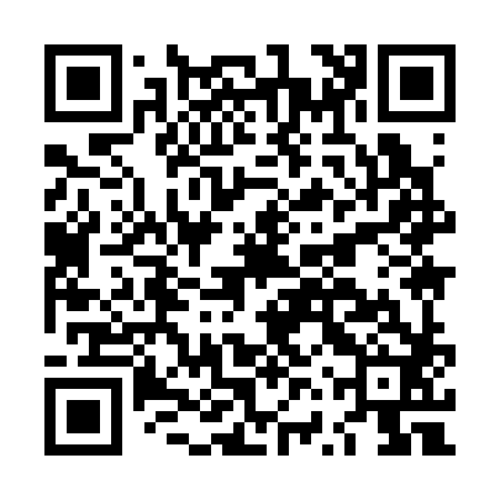 QR code for LVY382